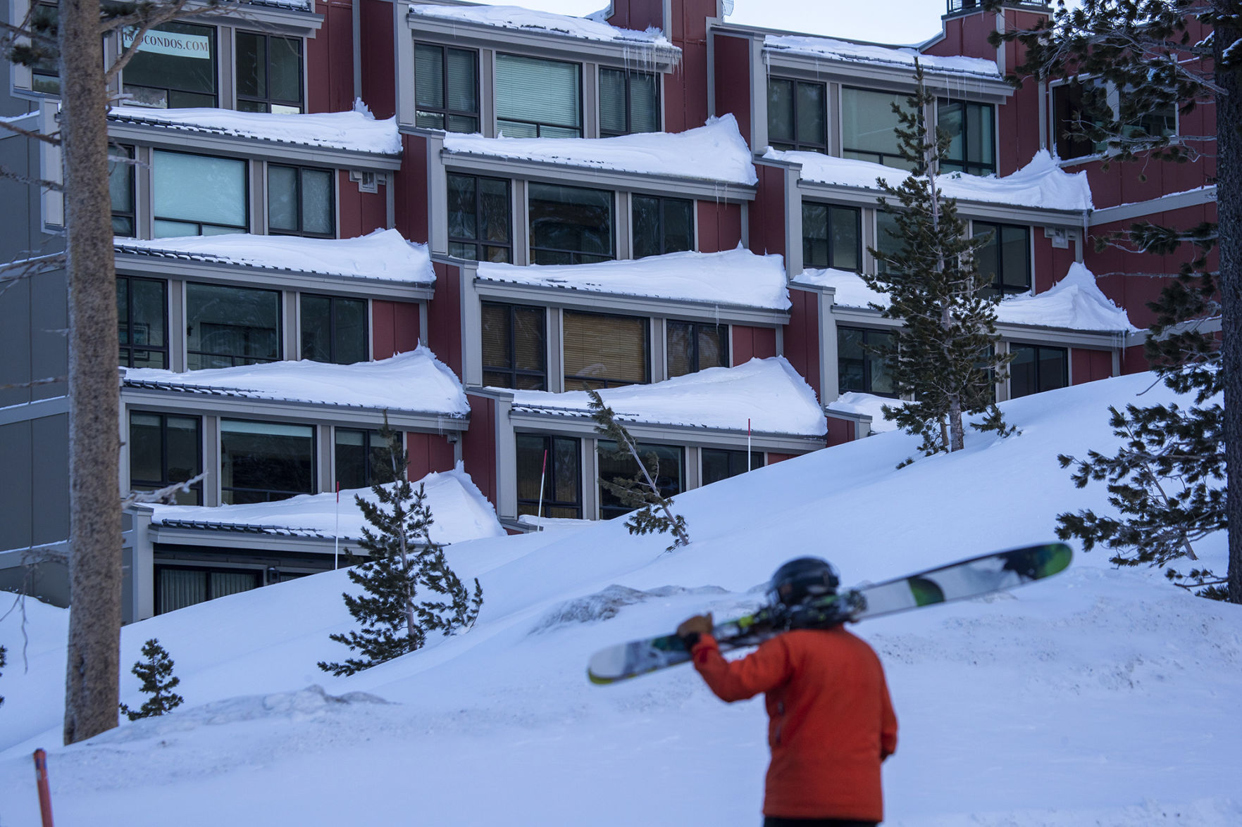 Skier in snow